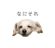 857985397
