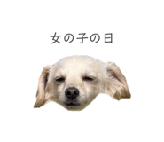 857985398