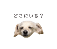 857985399