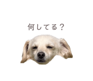 857985400