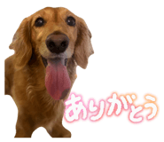 857985522