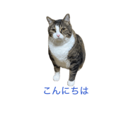 857985529