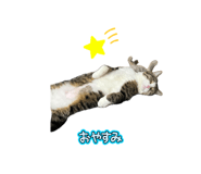 857985531