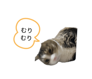857985537