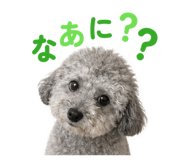 857985659