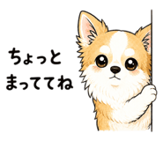857985676