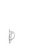 857985799