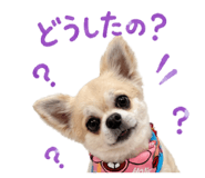 857986362