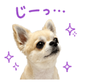 857986368