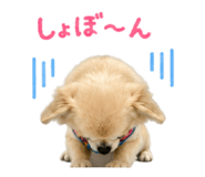 857986379