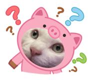 857986405