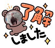 857986414