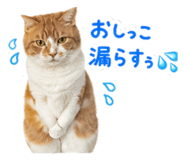 857986578