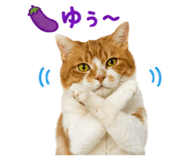 857986580