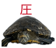 857987018