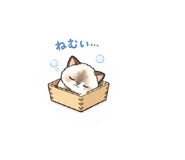 857987031
