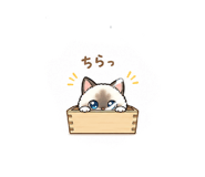 857987033