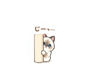 857987038