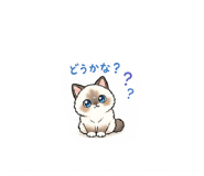 857987046