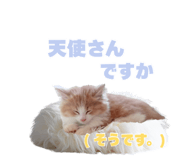 857987243