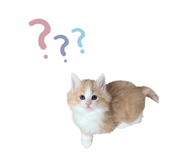 857987252