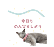857987253