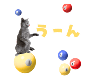 857987254