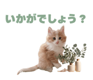 857987259