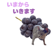 857987261