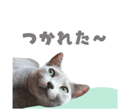 857987268