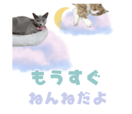 857987271