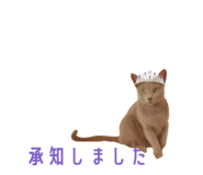 857987277