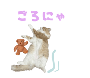 857987280