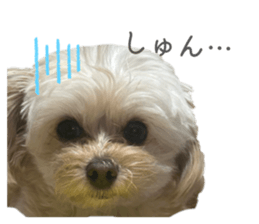 857987423