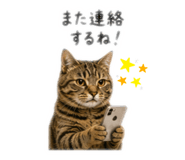 857988632