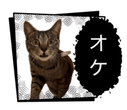 857988820