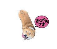857989179