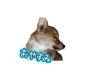 857989181