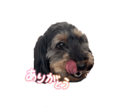 857989182