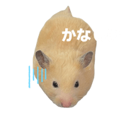 857989210