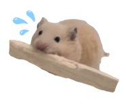 857989211
