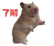 857989212