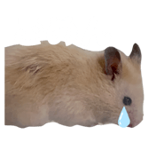 857989221