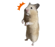 857989224