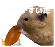 857989225