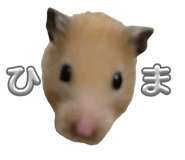 857989226