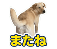 857989302
