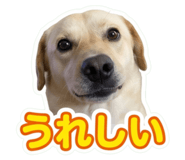 857989304