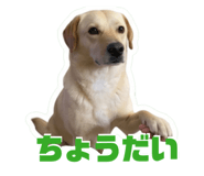 857989305