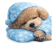 857989743